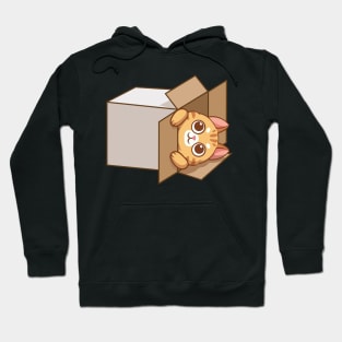 Cat in the box Hoodie